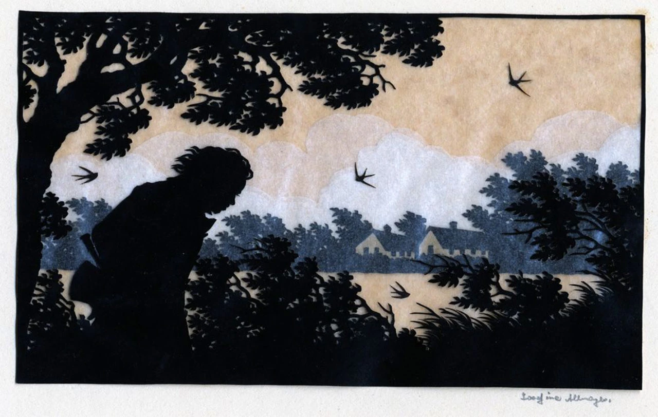 Beethoven caminando