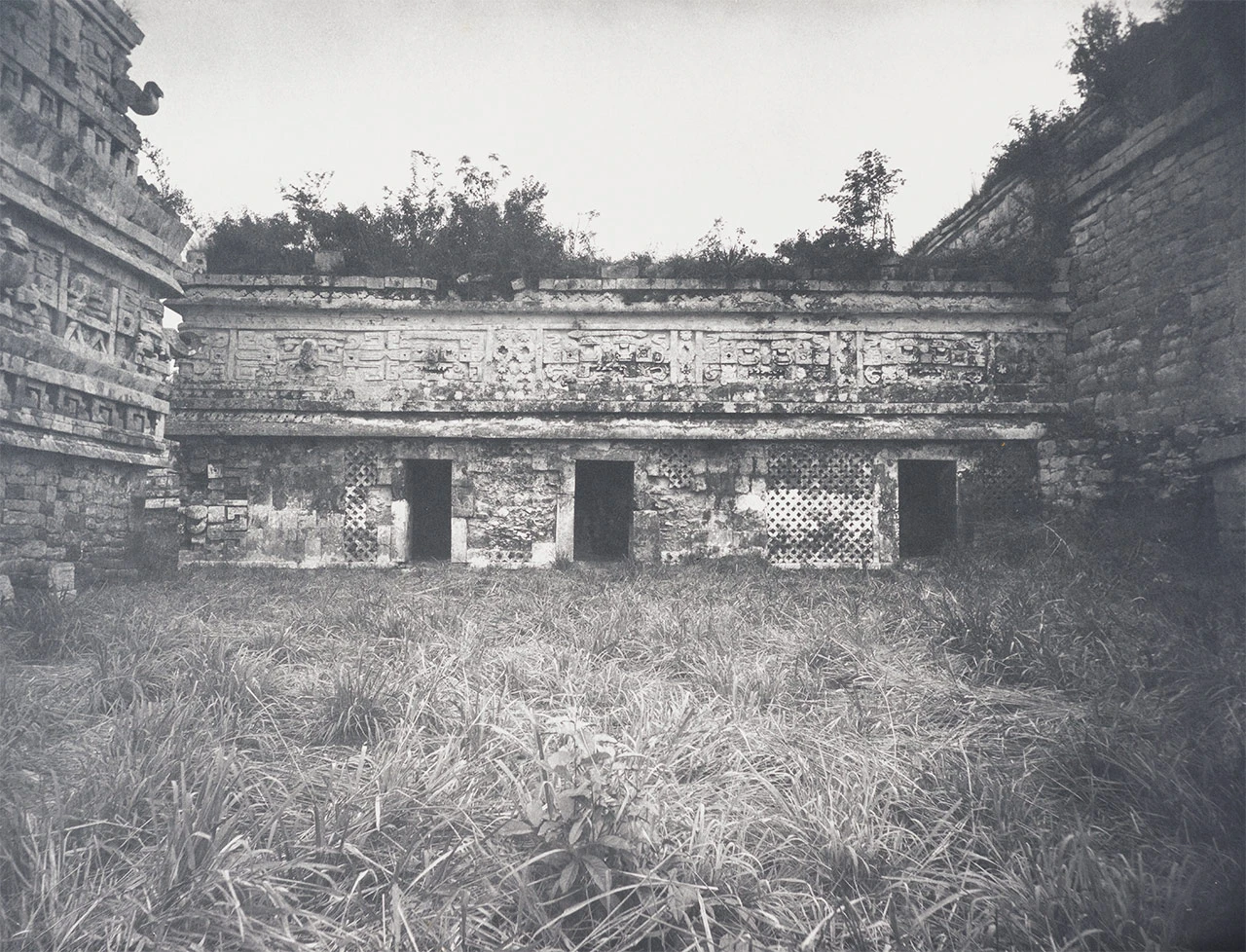 TM101-b.jpg