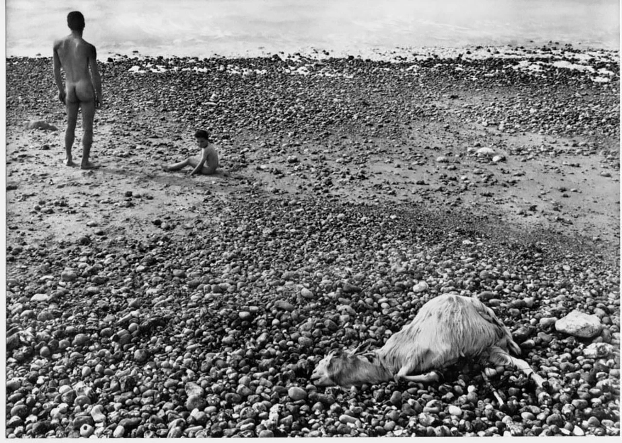 Ulises-AgnesVarda-b.jpg
