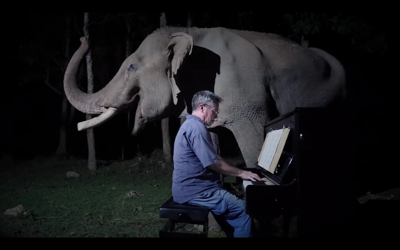 Beethoven Elefante